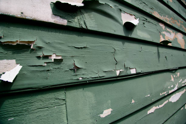 Best Siding Painting and Refinishing  in Eagle Lake, WI