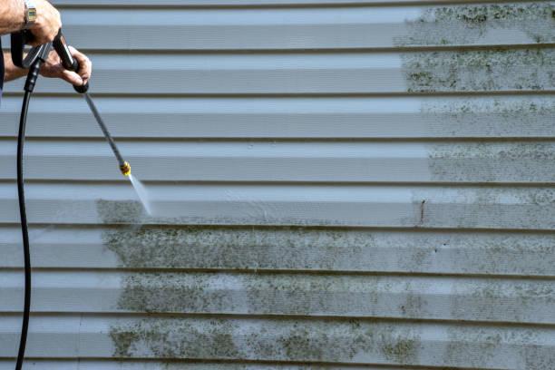 Best Residential Vinyl Siding Installation  in Eagle Lake, WI