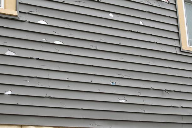 Affordable siding repair and maintenance services in Eagle Lake, WI