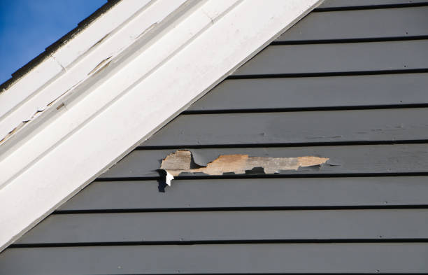  Eagle Lake, WI Siding Installation Pros