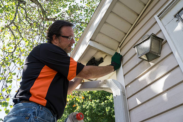 Best Historical Building Siding Restoration  in Eagle Lake, WI